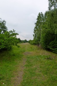 Narborough Railway Line